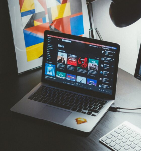 How Gramhir Pro Can Help You Master Instagram and Create Stunning Visuals